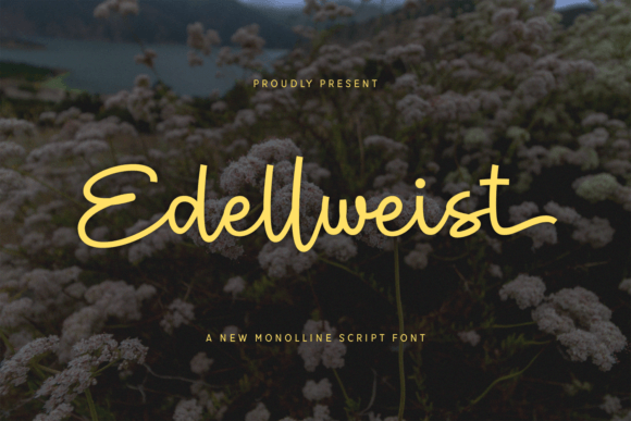 Edellweist: The Perfect Script Font for Branding