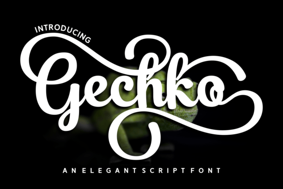 Gechko: A Bold Script Font for Editorial Design