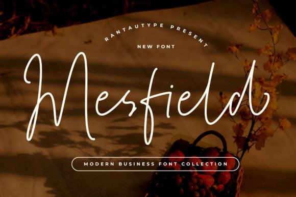 Mesfield Font Review: Elegant Script for Branding