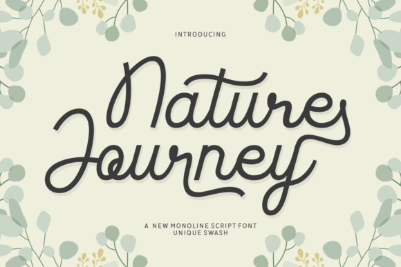 Nature Journey Font for Organic Brand Identity