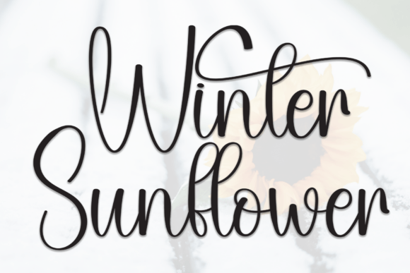 Winter Sunflower: A Script Handwritten Font for Marketers